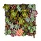 Vickerman 16.5" Multi-Colored Succulent Wall Arran - FX190617